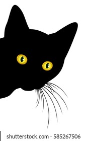 Predatory black cat. 
