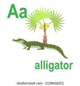 Predatory crocodile, alligator, ABC of children's wall art. Postcards with the alphabet. Poster with children's alphabet. The atmosphere of the game room. A is for the alligator. Vector