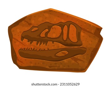 Impresión de la cabeza fósil de dinosaurios depredadores en piedra. Pieza de cuerpo animal prehistórica fósil, reptile Jurásico o huesos de cráneo dino paleontología museo de roca o esqueleto lagarto extinguido huella vectorial de piedra