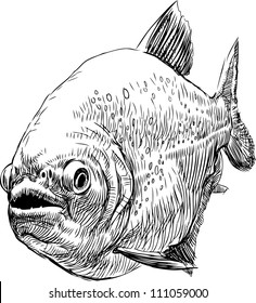 predatory fish