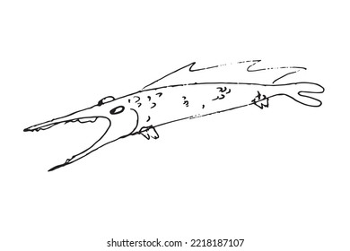 Predatory fish pike attacks and hunts underwater. The barracuda swims quickly with wide-toothed mouth. Freehand drawing in ink in doodle style, vector.