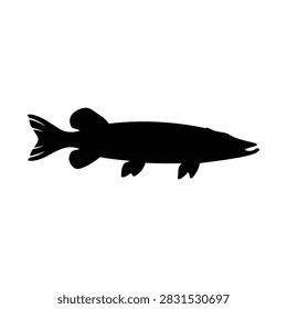 Predatory pike fish silhouette icon vector flat design.