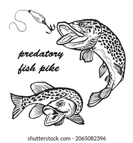 predatory pike fish with a spinner doodle with a black outline on a white background