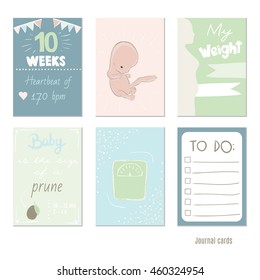 pregnancy 10 weeks Vector design templates for journal cards, Pregnancy stages, trimesters and birth, pregnant woman and baby. Infographic elements