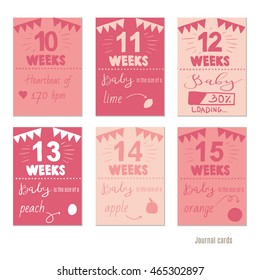 pregnancy 10-15 weeks Vector design templates for journal cards,Pregnancy stages, trimesters and birth, pregnant woman and baby. Infographic elements