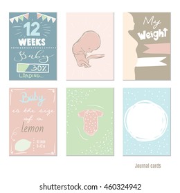 pregnancy 12 weeks Vector design templates for journal cards, Pregnancy stages, trimesters and birth, pregnant woman and baby. Infographic elements