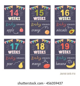 pregnancy 14-19 weeks Vector design templates for journal cards, scrapbooking cards, greeting cards, gift cards, patterns, blogging. Planner cards. Cute doodle. Printable templates set.