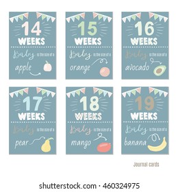 pregnancy 14-19 weeks Vector design templates for journal cards, Pregnancy stages, trimesters and birth, pregnant woman and baby. Infographic elements