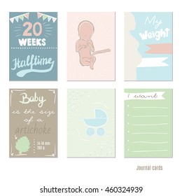 pregnancy 20 weeks Vector design templates for journal cards, Pregnancy stages, trimesters and birth, pregnant woman and baby. Infographic elements