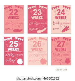 pregnancy 22-27 weeks Vector design templates for journal cards,Pregnancy stages, trimesters and birth, pregnant woman and baby. Infographic elements