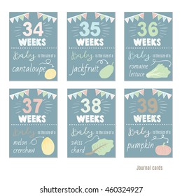 pregnancy 34-39 weeks Vector design templates for journal cards, Pregnancy stages, trimesters and birth, pregnant woman and baby. Infographic elements