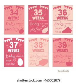 pregnancy 34-39 weeks Vector design templates for journal cards,Pregnancy stages, trimesters and birth, pregnant woman and baby. Infographic elements