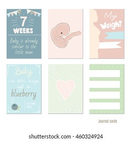 pregnancy 7 weeks Vector design templates for journal cards, Pregnancy stages, trimesters and birth, pregnant woman and baby. Infographic elements