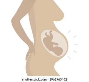 Pregnancy and baby concept. Pregnancy and obstetrician sign, test tube baby procedure stock illustration.