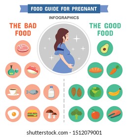Pregnancy Birth Infographic Food Guide Pregnant Stock Vector (Royalty ...