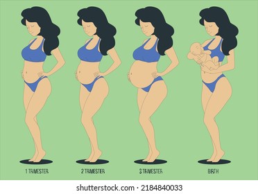 Pregnancy Calendar concept. Woman goes through all stages of pregnancy from conception to childbirth. Changes in female body during pregnancy. Cartoon flat vector set isolated on green background