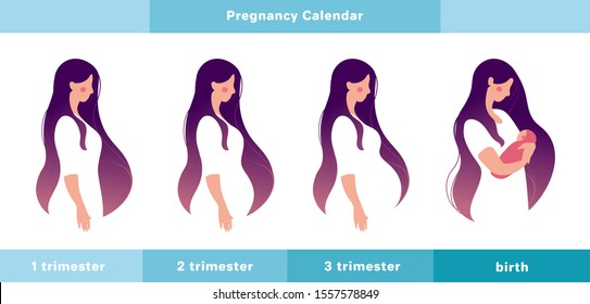 Pregnancy calendar, main stages. A pregnant woman in the 1st, 2nd, 3rd trimester of pregnancy and with a newborn in her arms. Info graphic with a cute girl. Flat stock vector illustration isolated on 