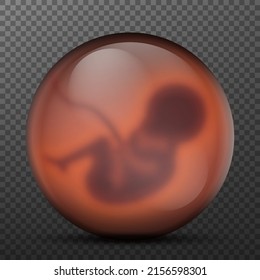 Pregnancy concept. Blurred Child in the womb, embryo in glass ball. The cloning people. Medical research in the genetics Vector illustration. Eps 10.