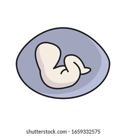 pregnancy concept vector flat color icon 