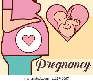 pregnancy fertilization related