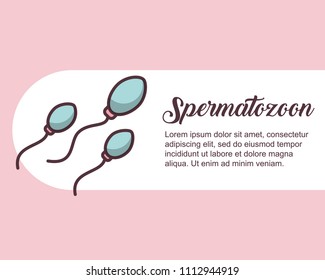 pregnancy fertilization related