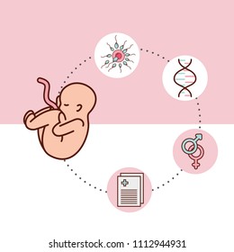 pregnancy fertilization related