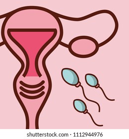 pregnancy fertilization related