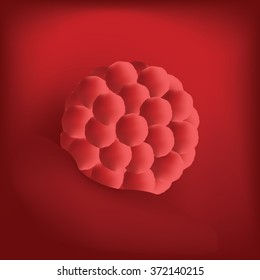 Pregnancy. Fetal growth.  ultrasound,  baby fetus,  fetus development. 1 weeks. Vector. 3D Realistic