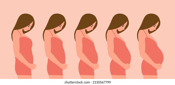 Pregnancy growth chart of a mother vector illustration pregnancy woman. Pregnancy growth 5 stage