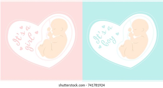 Pregnancy Icon. Maternity vector illustration. It is a girl. It is a boy. Fetus inside mom's belly. 