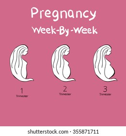 Pregnancy.   Icons trimesters.