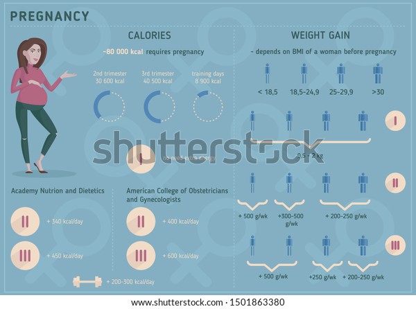 Pregnancy Pregnancy Infographic Weight Gain During Stock Vector