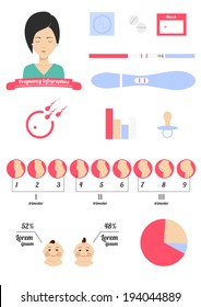 Pregnancy infographics