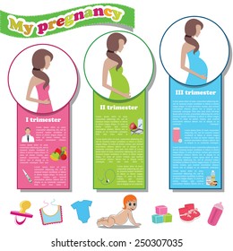 pregnancy infographics