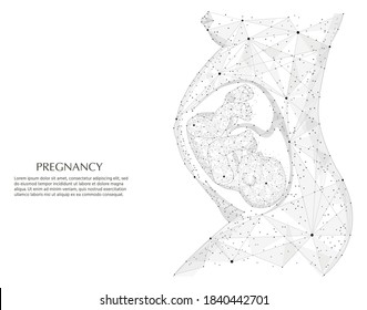 Pregnancy low poly wireframe illustration. Woman belly silhouette vector illustration. Closeup of an abstract pregnant woman with embryo in her maw side view. Isolated pregnancy medical concept on whi