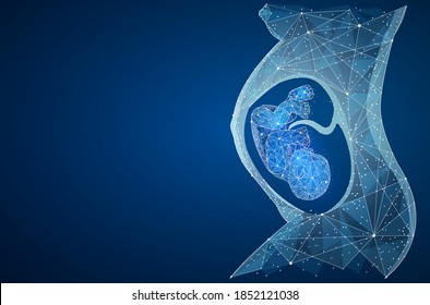 Pregnancy low poly wireframe illustration. Woman belly silhouette vector illustration. Closeup of an abstract pregnant woman with embryo in her maw side view. Isolated pregnancy medical concept on blu