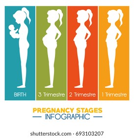 pregnancy and maternity infograhic