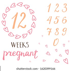 Pregnancy Milestone Cards. beautiful frame heart for the number of weeks of pregnancy. Hand writing lettering week of Pregnancy. The numbers from 1 to 0. Best pregnancy card design. Isolated on white 