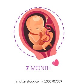 Pregnancy and motherhood 7 month fetus or embryo isolated icon vector baby in uterus umbilical cord and placenta new life fertilization child development stage female reproductive function womb