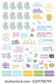 Pregnancy and Newborn Sticker Planner Set