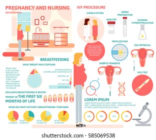 Pregnancy and nursing infographics.IVF Procedure infographics.In vitro fertilization infographic.Charts and pregnancy elements vector illustration. 