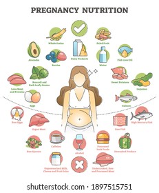 Pregnancy nutrition with educational recommendation food products outline concept. Healthy eating diet while waiting baby as nourishment what to avoid and include in daily basis vector illustration.