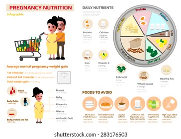 pregnancy nutrition infographic contain of daily nutrients, food to avoid and proper weight gain in every trimester of pregnant, health infographic vector illustration.