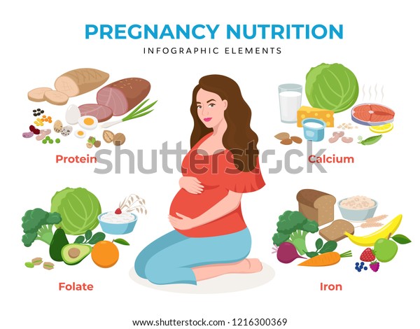 Pregnancy Nutrition Infographic Elements Flat Design Stock Vector ...