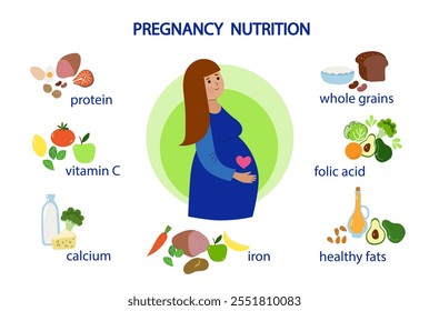 Pregnancy nutrition infographic. Pregnant woman cartoon character and health food.  High calcium, iron,  folate, protein products. Cartoon flat design vector  illustration.