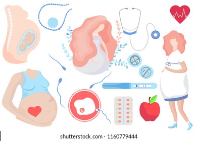 Pregnancy set illustrations. Vector illustration in flat.Eggs, birth control pills, stethoscope, pregnancy test, heart,ultrasound.Changes in female body, fetal development. 