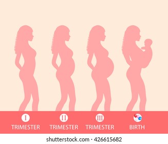 Similar Images, Stock Photos & Vectors of Pregnancy and birth ...