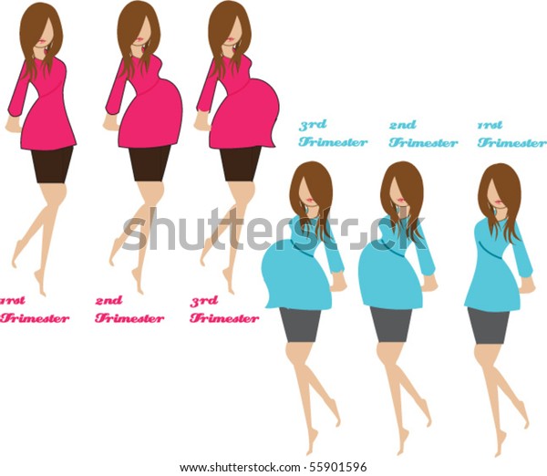 Pregnancy Stages Stock Vector Royalty Free 55901596 Shutterstock 