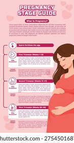 Pregnancy Stages Guide What to Expect During Each Trimester of Your Journey to Motherhood