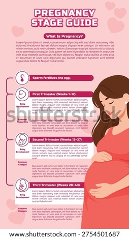 Pregnancy Stages Guide What to Expect During Each Trimester of Your Journey to Motherhood